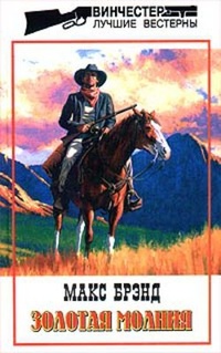 Обложка книги Бандит с Черных Холмов