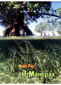 Обложка книги В манграх