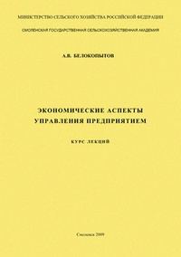 Экономические аспекты управления предприятием: курс лекций