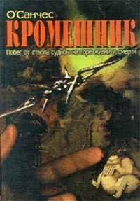 Кромешник. Книга 1