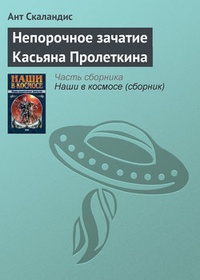Обложка книги Непорочное зачатие Касьяна Пролеткина