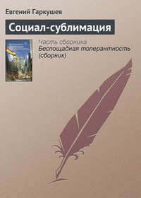 Обложка книги Социал-сублимация