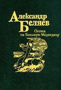 Обложка книги Охота на Большую Медведицу