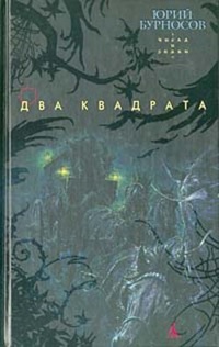 Обложка книги Два квадрата