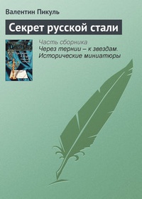 Обложка книги Секрет русской стали