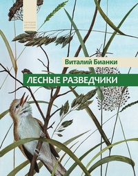 Обложка книги Лесные разведчики