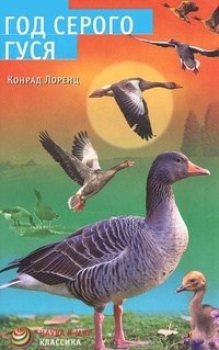 Обложка книги Год серого гуся