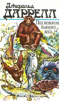 Обложка книги Под пологом пьяного леса