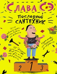 Обложка для книги Последний сантехник