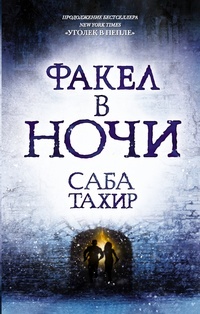 Обложка книги Факел в ночи