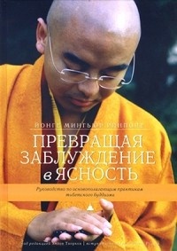 Обложка книги Превращая заблуждение в ясность. Руководство по основополагающим практикам тибетского буддизма