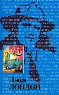 Обложка для книги Жизнь Джека Лондона