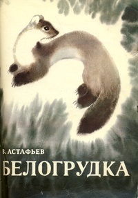 Обложка книги Белогрудка